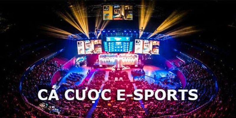 Tìm hiểu chi tiết các sảnh cược kèo Esport