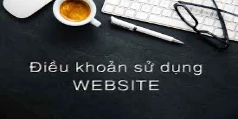 Điều khoản về sử dụng dữ liệu website